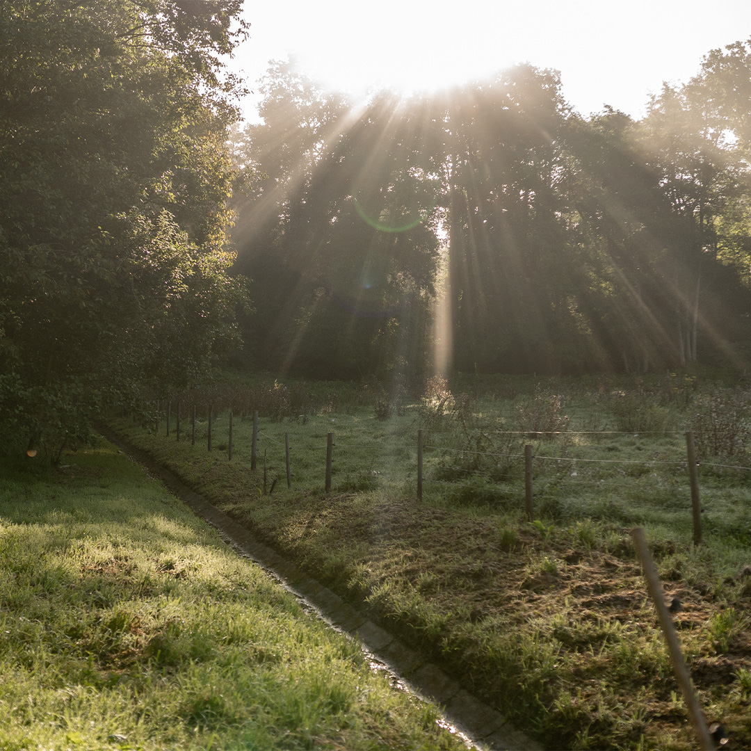 Beitragsgrafik: Wandern während des Fastens