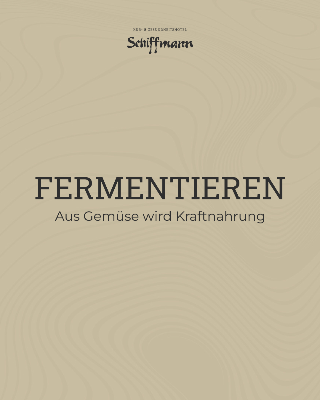 Beitragsgrafik: Fermentieren: Aus Gemüse wird Kraftnahrung