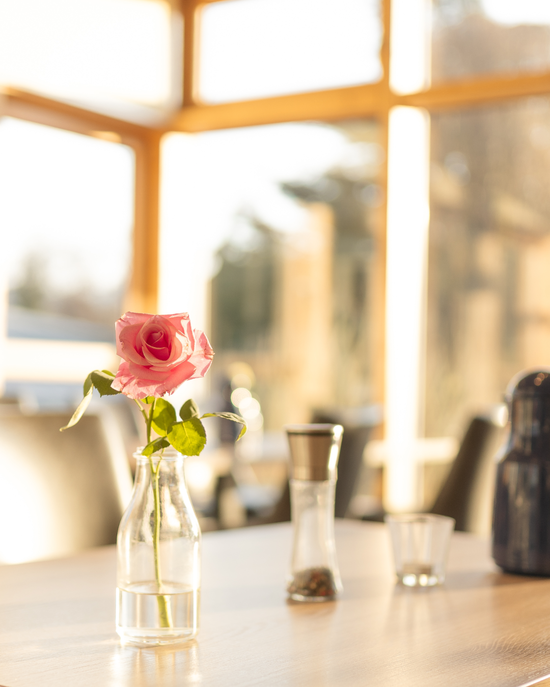 Beitragsgrafik: Morning Bliss in unserem Hotel
