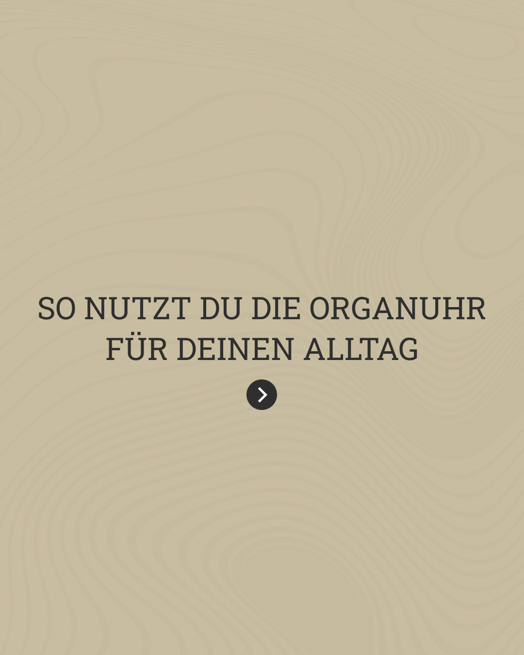 Beitragsgrafik: So kannst du die Organuhr für dich nutzen